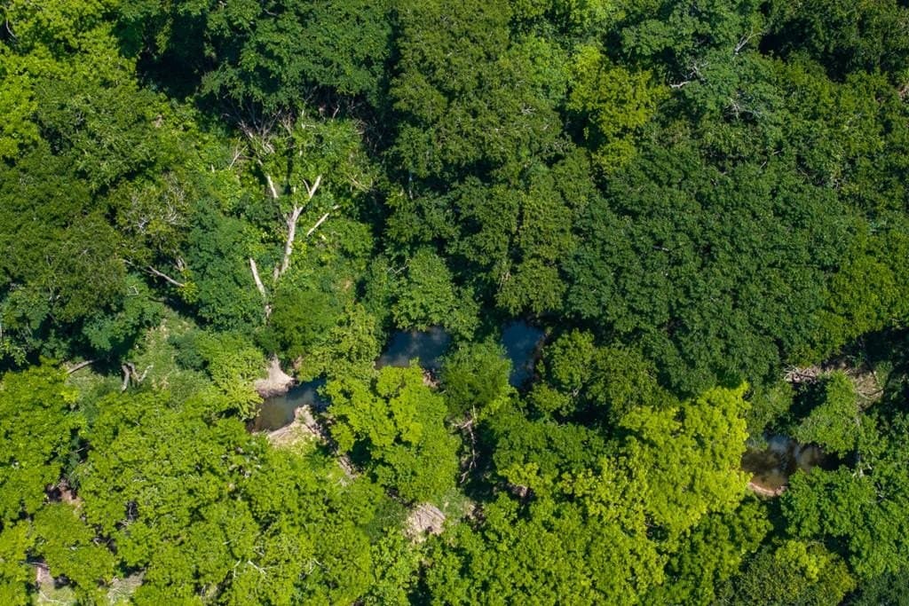 69 acres in Van Zandt County - photo 50