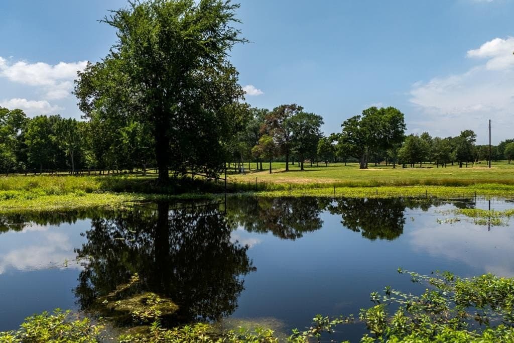 69 acres in Van Zandt County - photo 51
