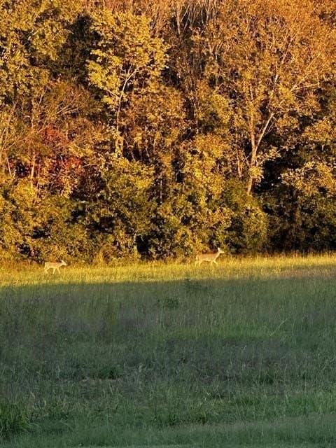 69 acres in Van Zandt County - photo 66