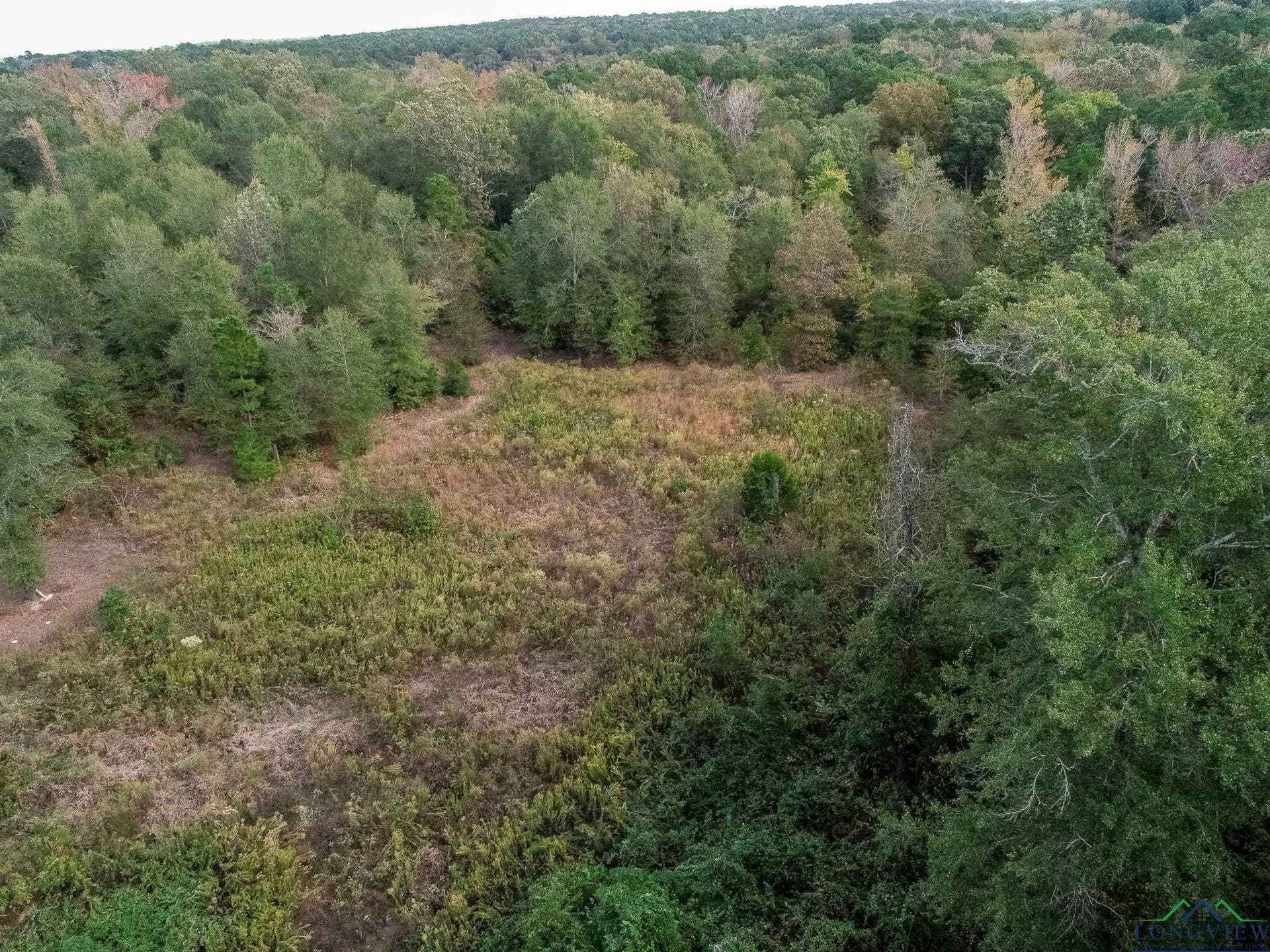 13.33 acres in Upshur County - photo 4