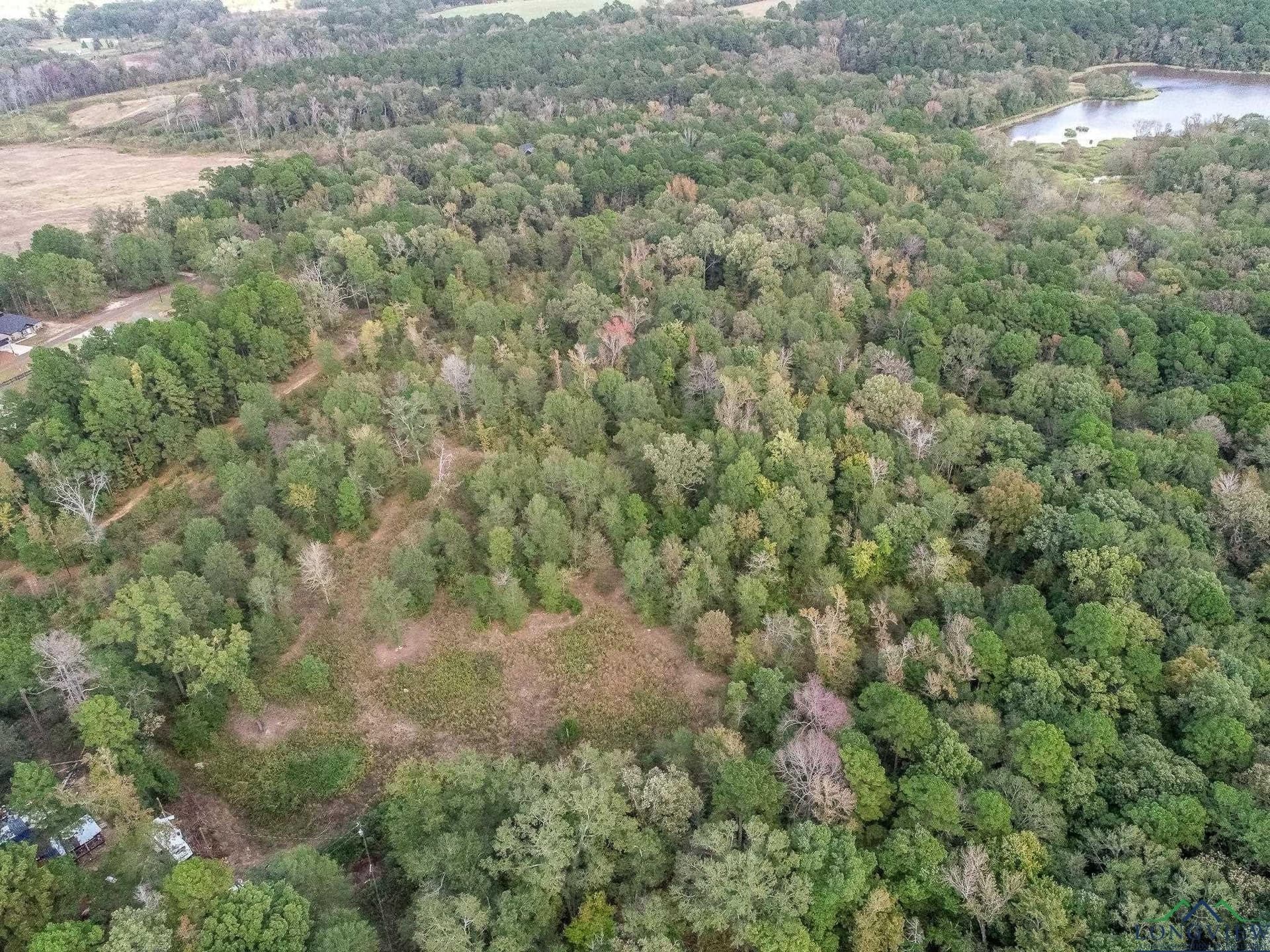 13.33 acres in Upshur County - photo 7