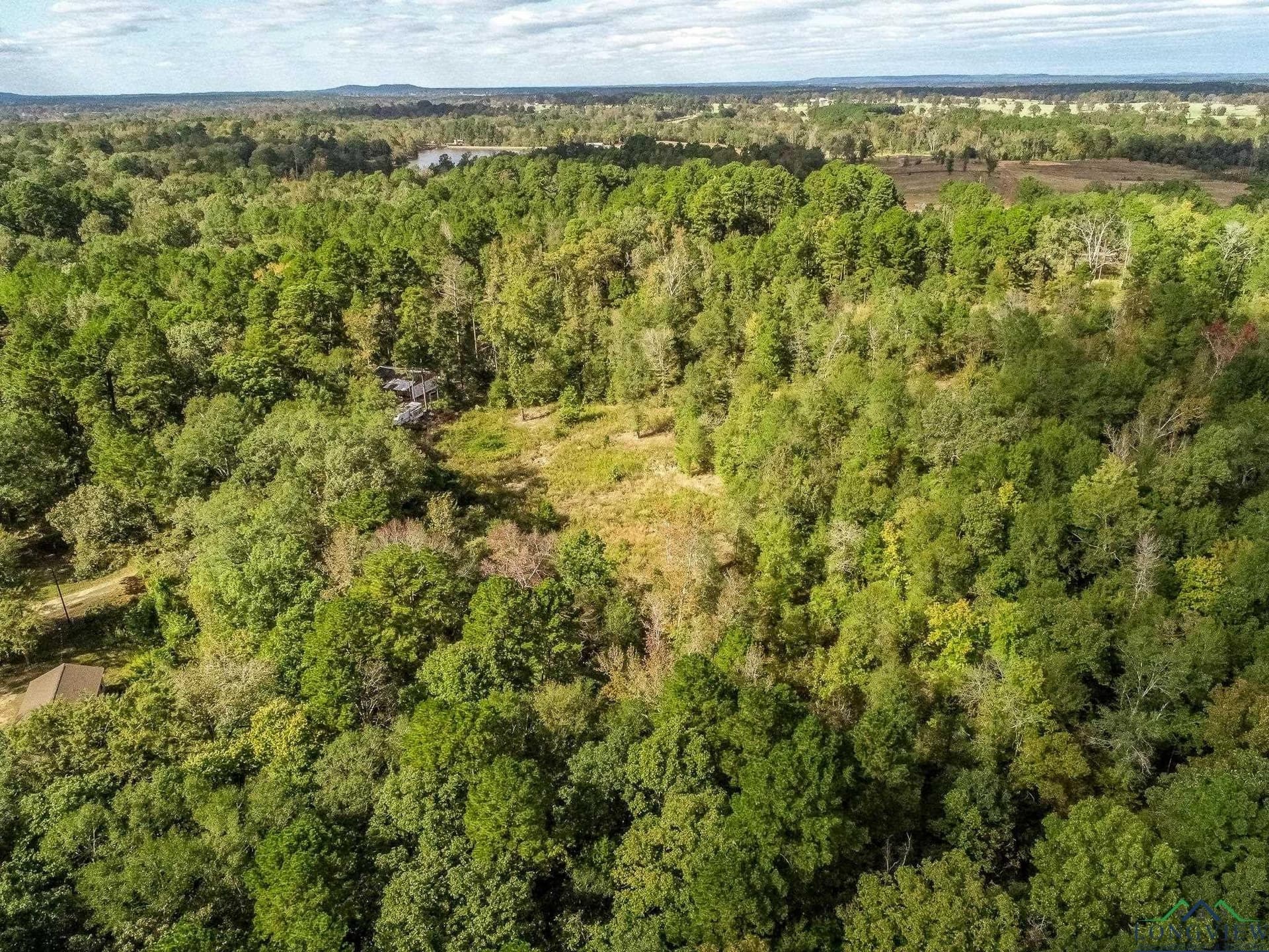 13.33 acres in Upshur County - photo 13