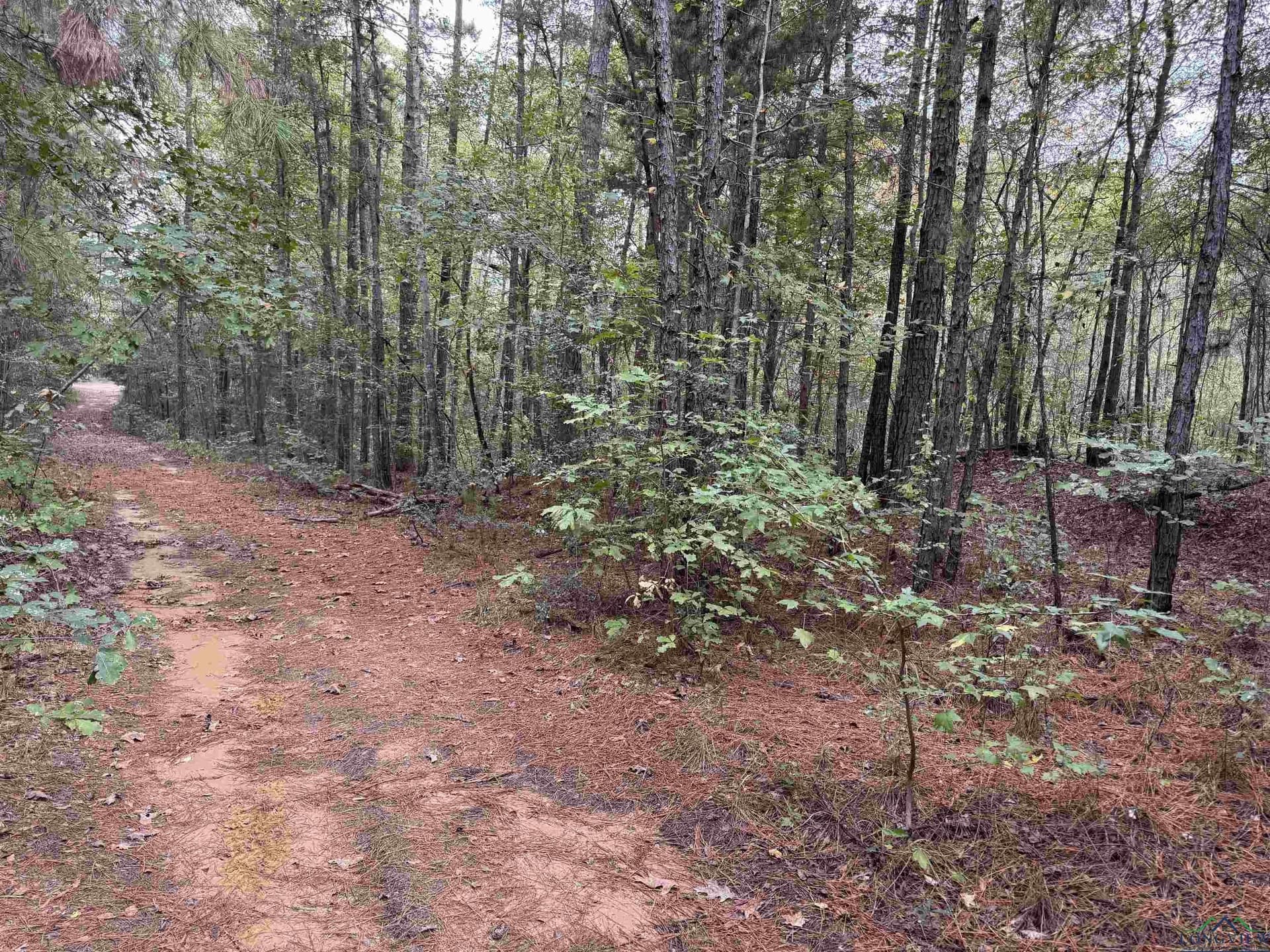 13.33 acres in Upshur County - photo 17