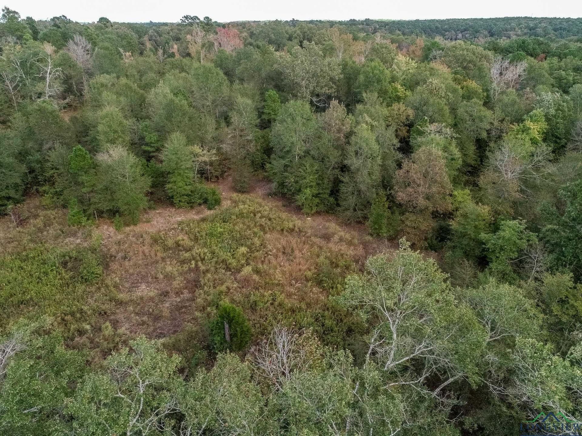 13.33 acres in Upshur County - photo 6