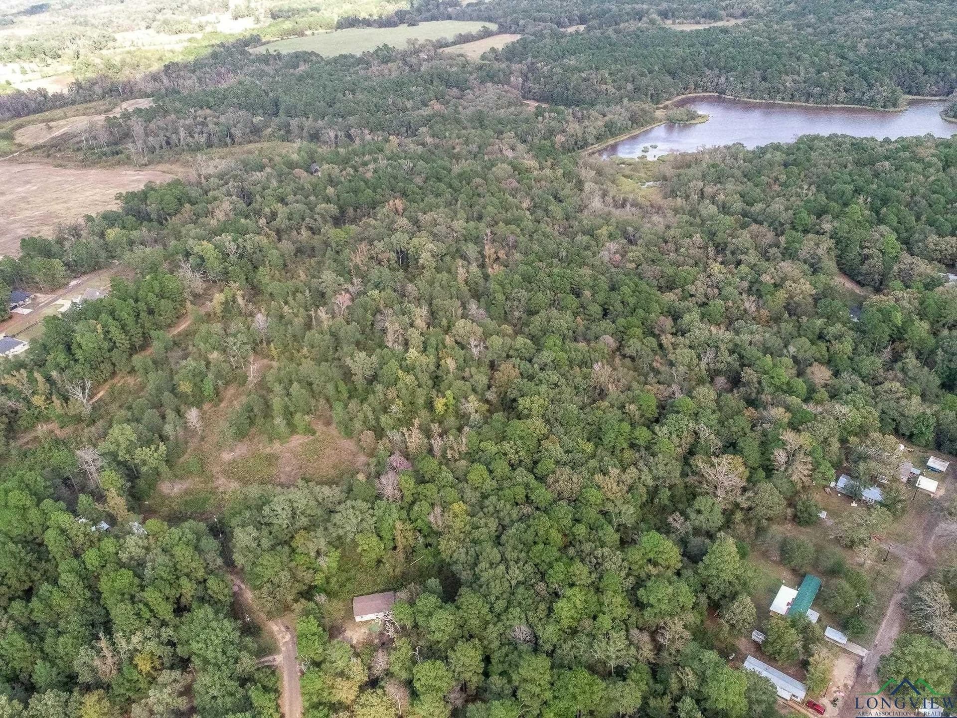 13.33 acres in Upshur County - photo 11