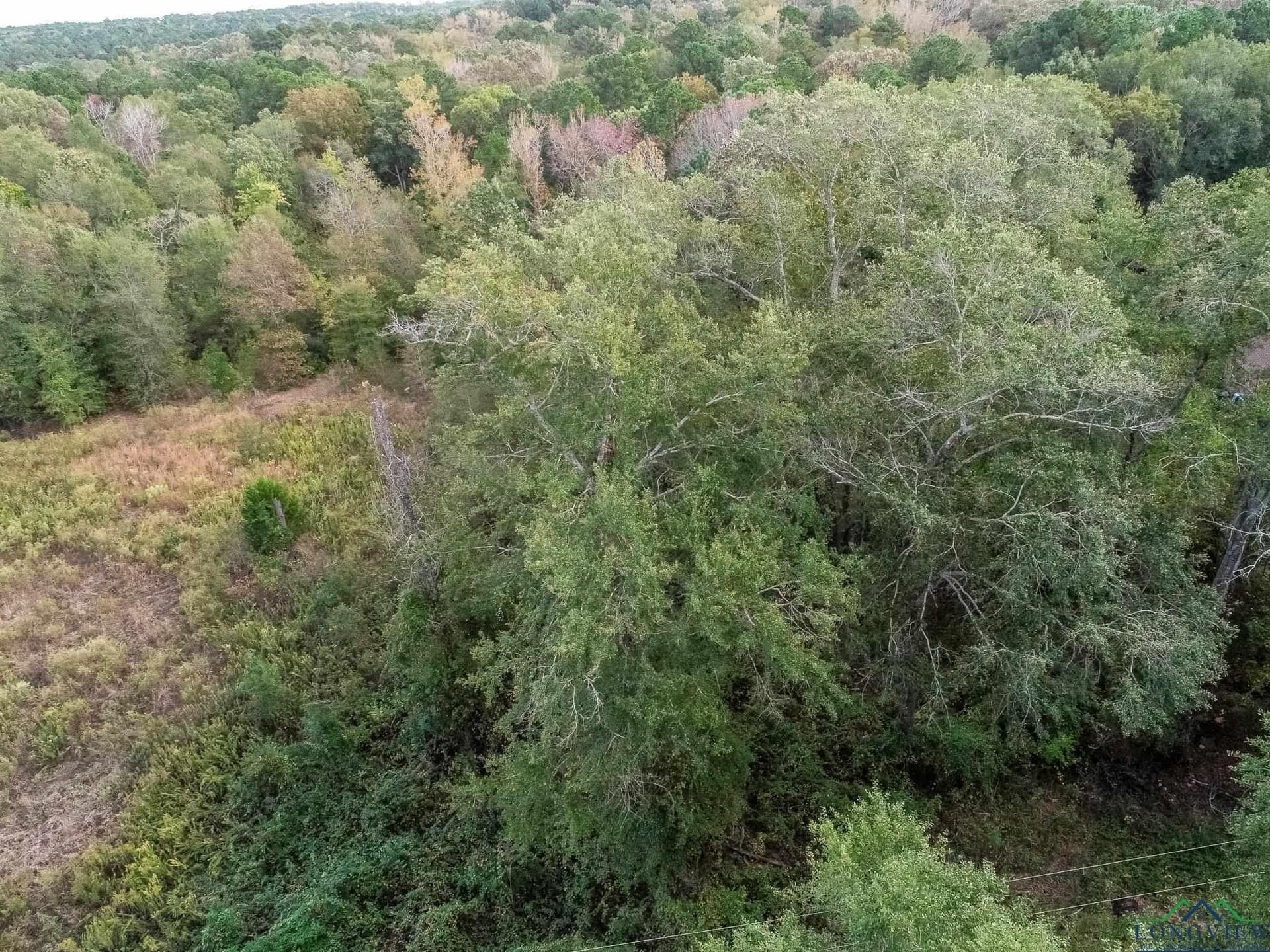 13.33 acres in Upshur County - photo 5