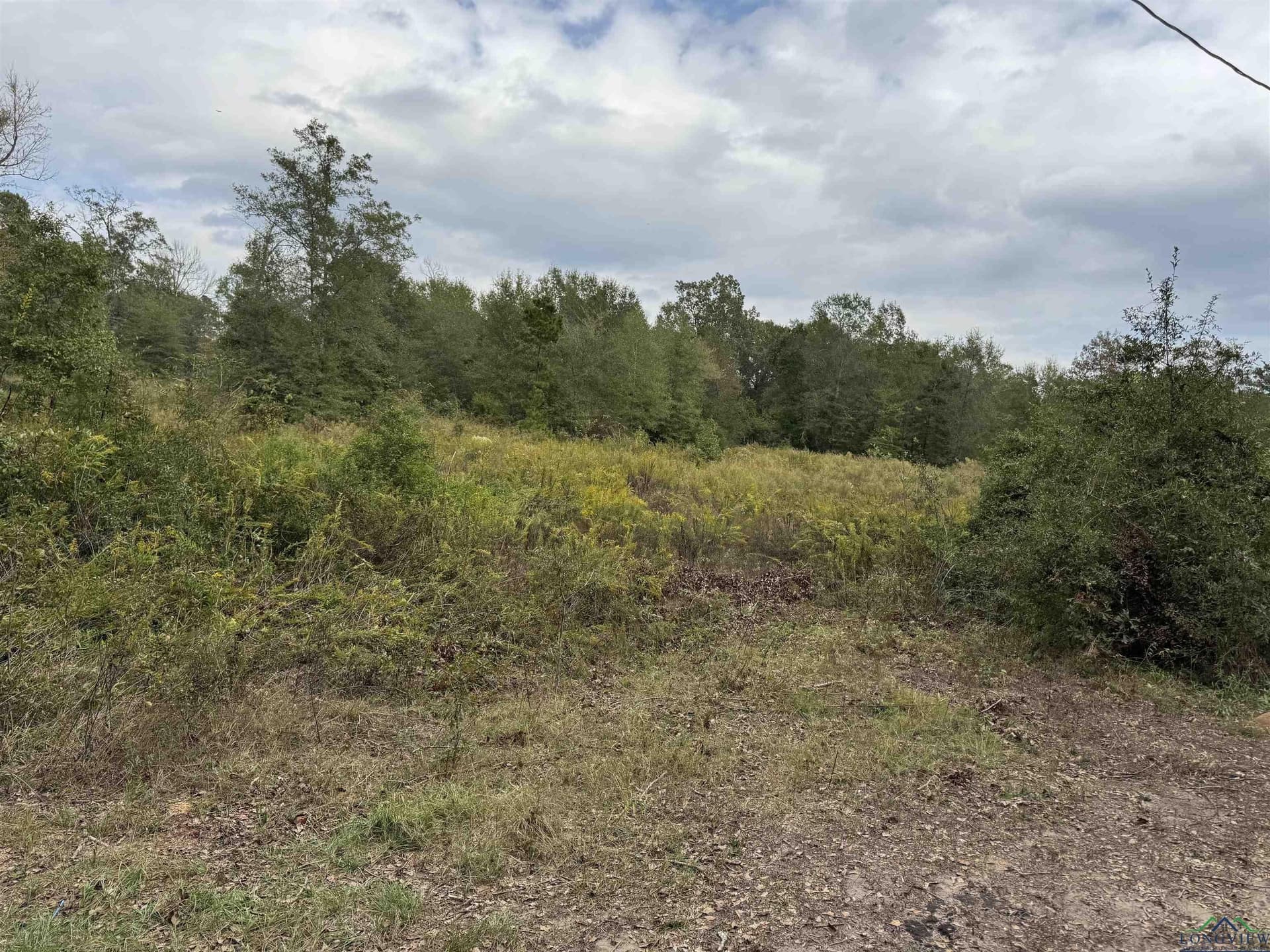 13.33 acres in Upshur County - photo 20
