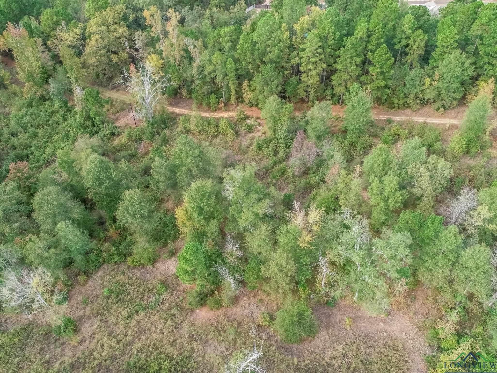 13.33 acres in Upshur County - photo 15