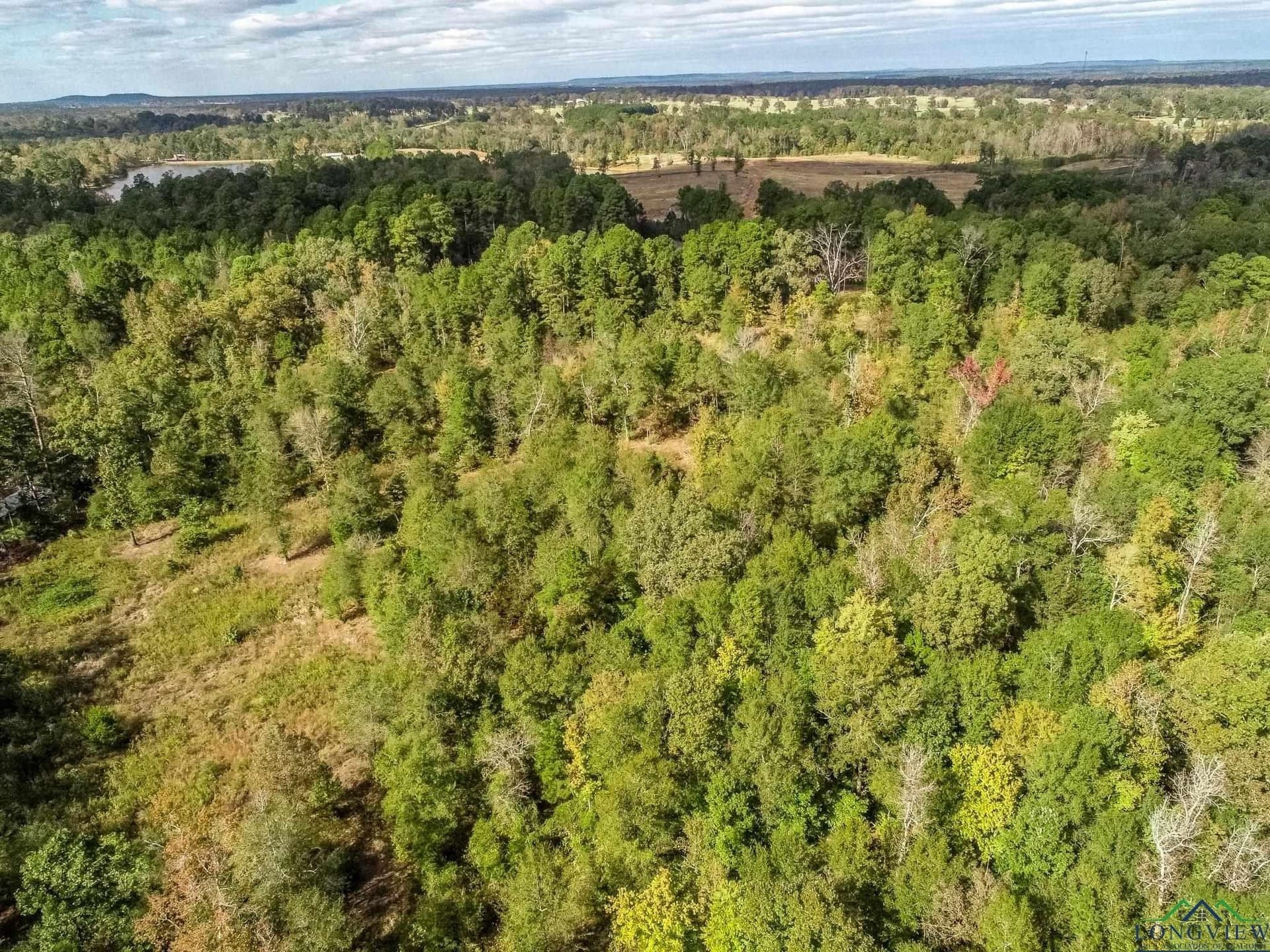13.33 acres in Upshur County - photo 14