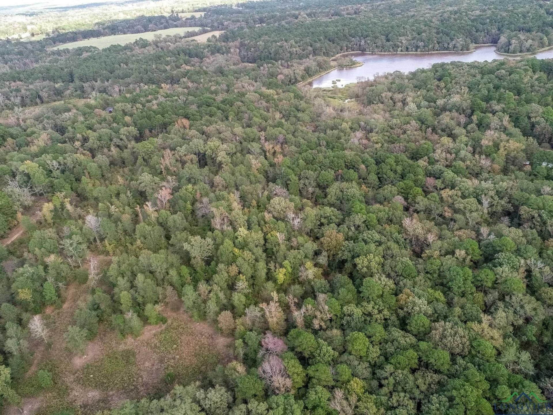 13.33 acres in Upshur County - photo 8