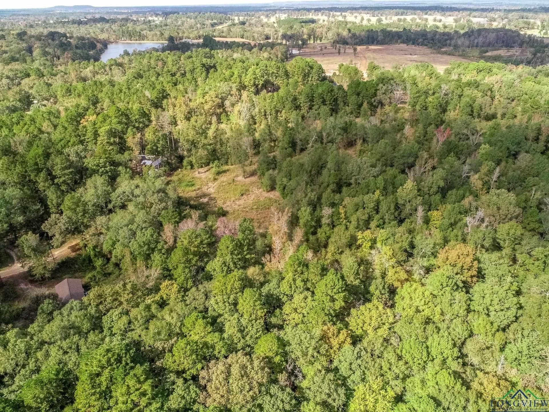 13.33 acres in Upshur County - photo 12