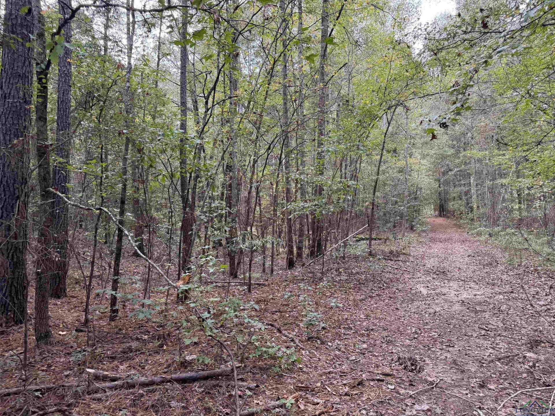 13.33 acres in Upshur County - photo 19