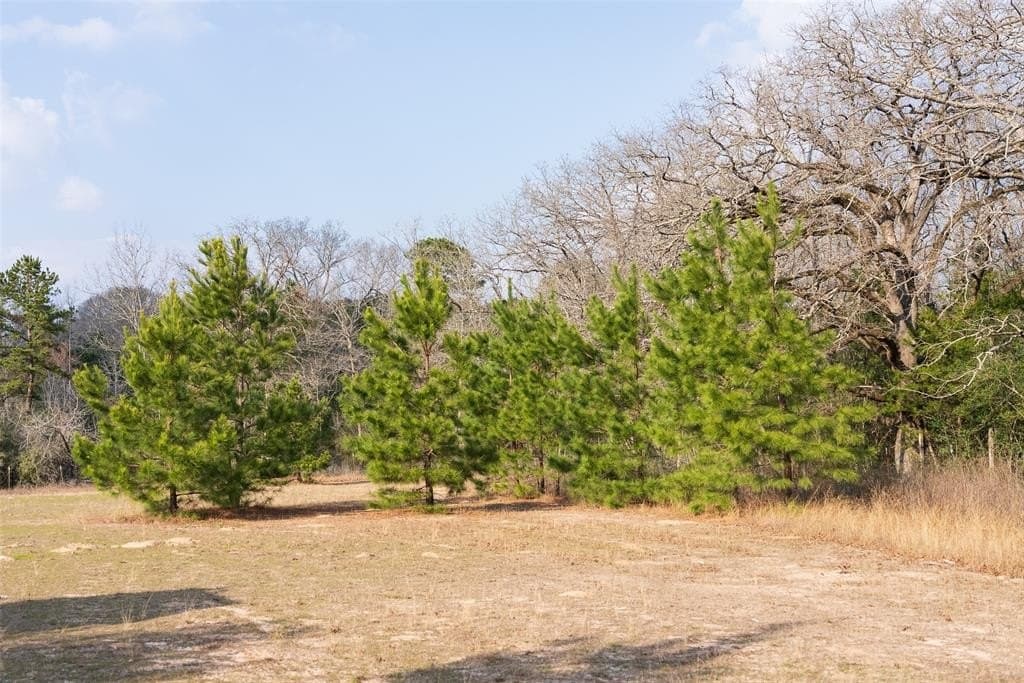 18.39 acres in Rusk County - photo 31