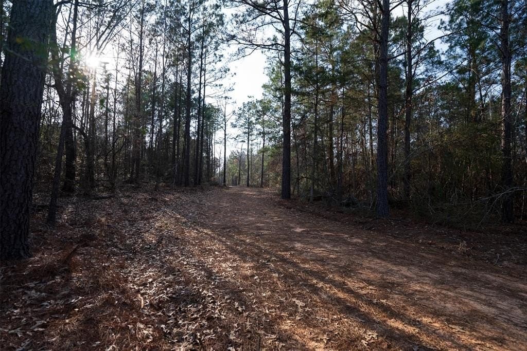 18.39 acres in Rusk County - photo 32