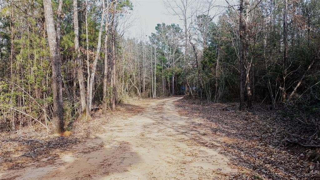 18.39 acres in Rusk County - photo 33