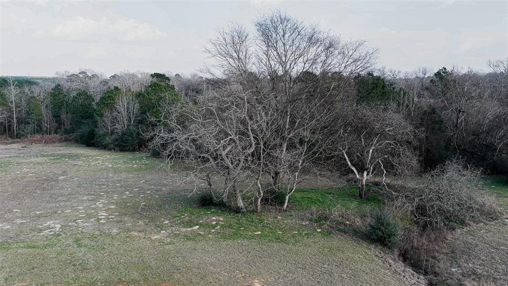 18.39 acres in Rusk County - photo 35