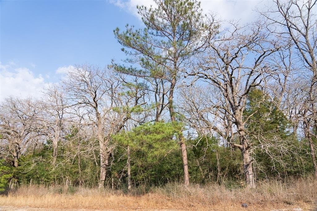 18.39 acres in Rusk County - photo 30