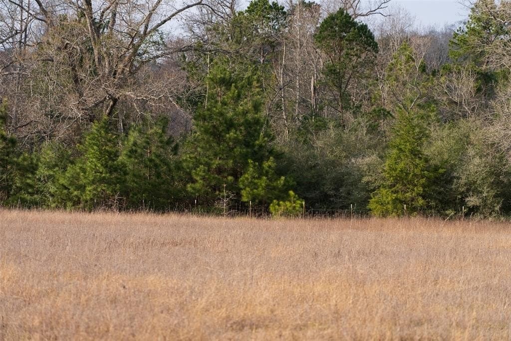 18.39 acres in Rusk County - photo 28