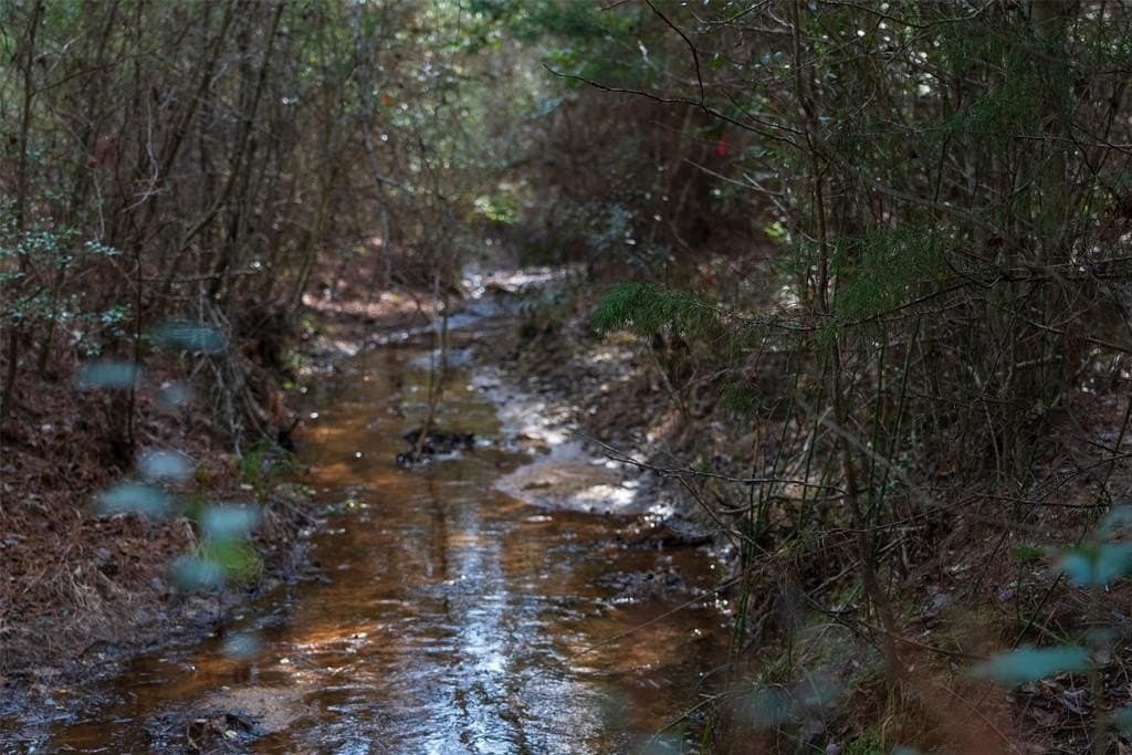 18.39 acres in Rusk County - photo 3