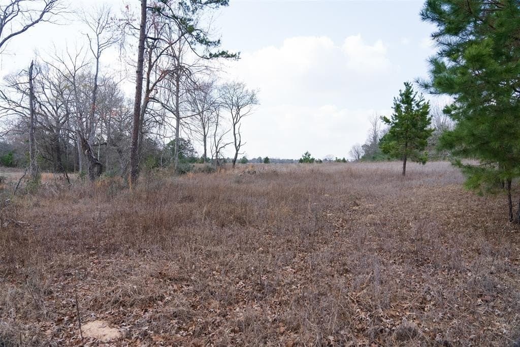 18.39 acres in Rusk County - photo 14