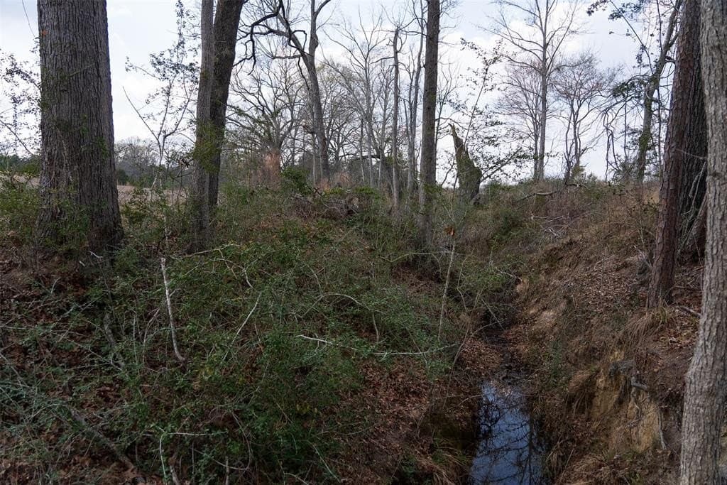 18.39 acres in Rusk County - photo 6