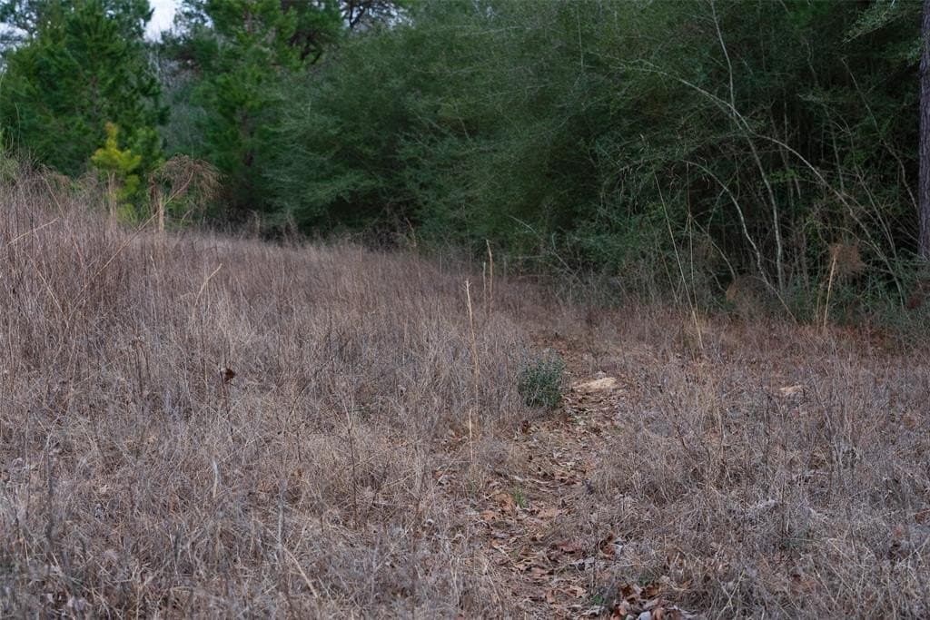 18.39 acres in Rusk County - photo 16