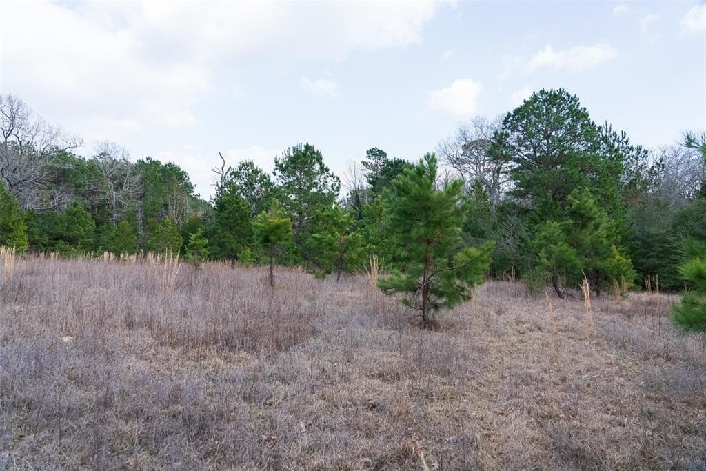 18.39 acres in Rusk County - photo 15