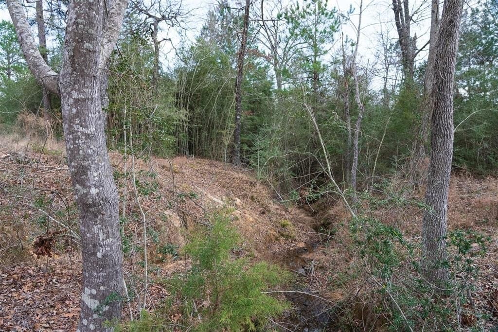 18.39 acres in Rusk County - photo 4