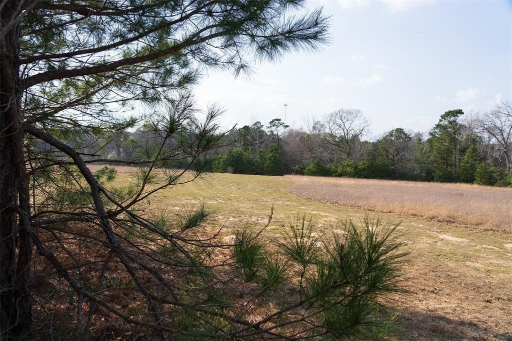18.39 acres in Rusk County - photo 29