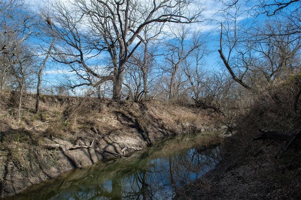 230 acres in Limestone County - photo 9