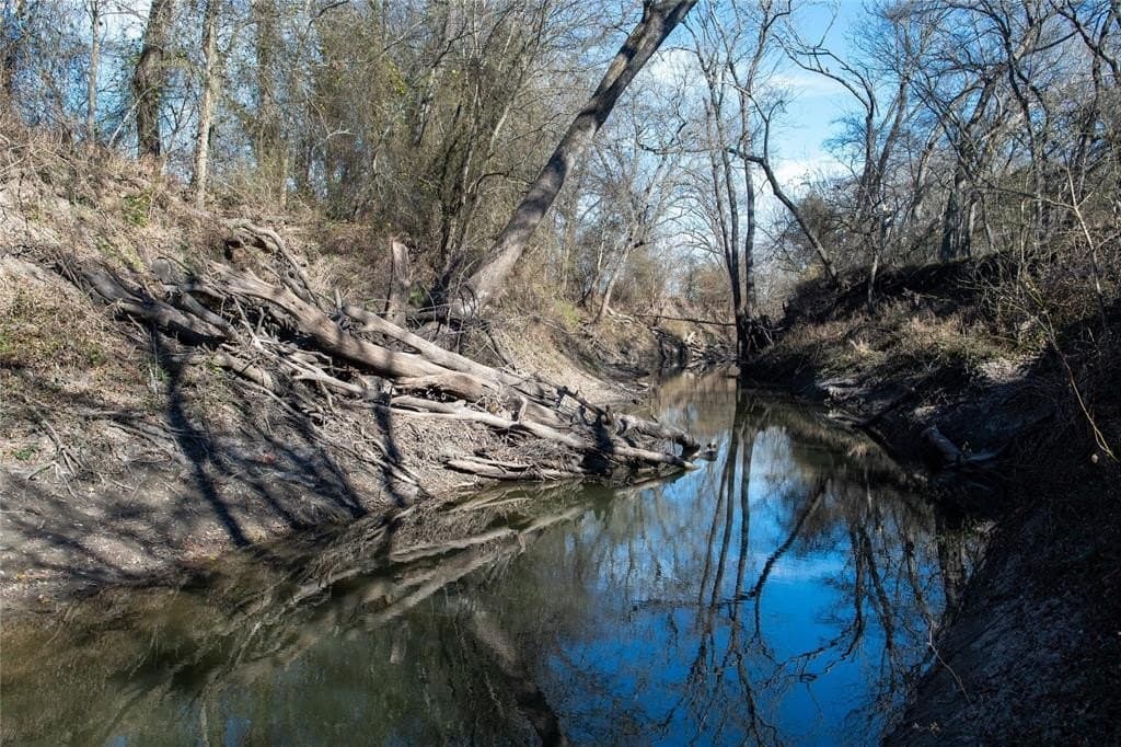 230 acres in Limestone County - photo 11