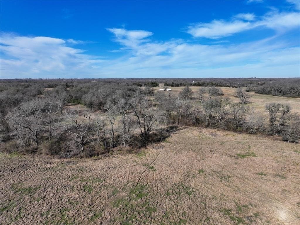 230 acres in Limestone County - photo 15