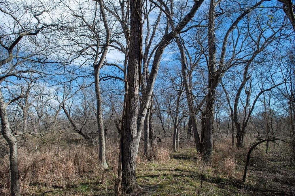 230 acres in Limestone County - photo 38