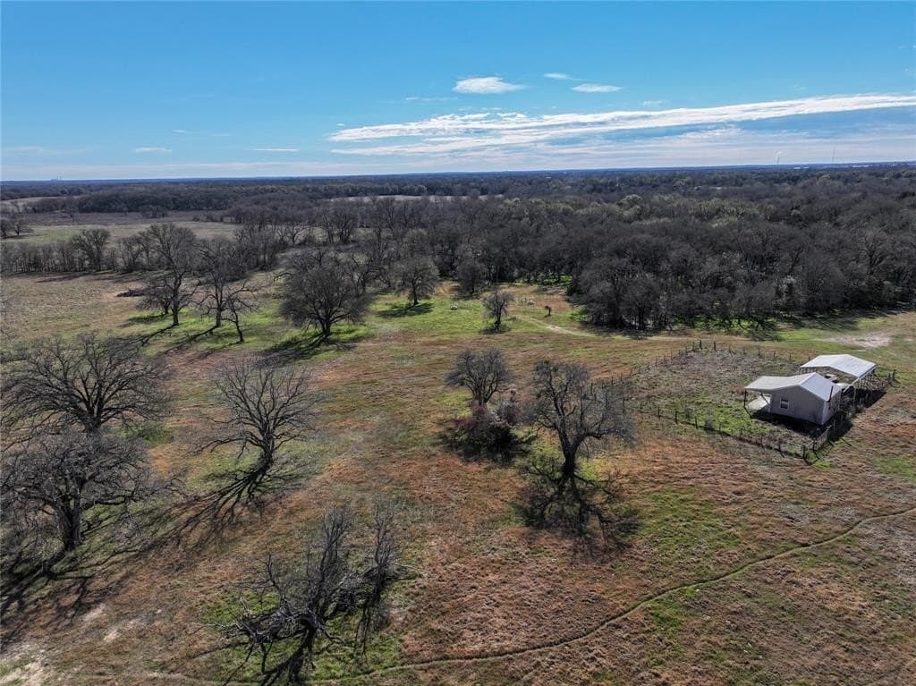 230 acres in Limestone County - photo 12
