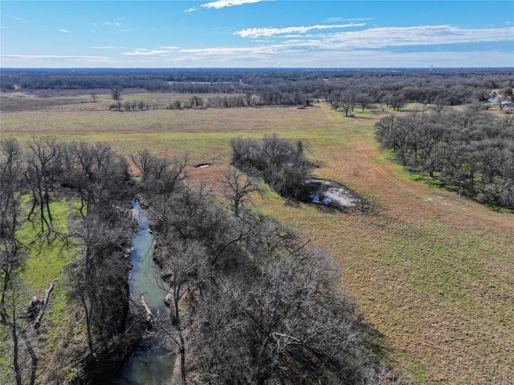 230 acres in Limestone County - photo 39