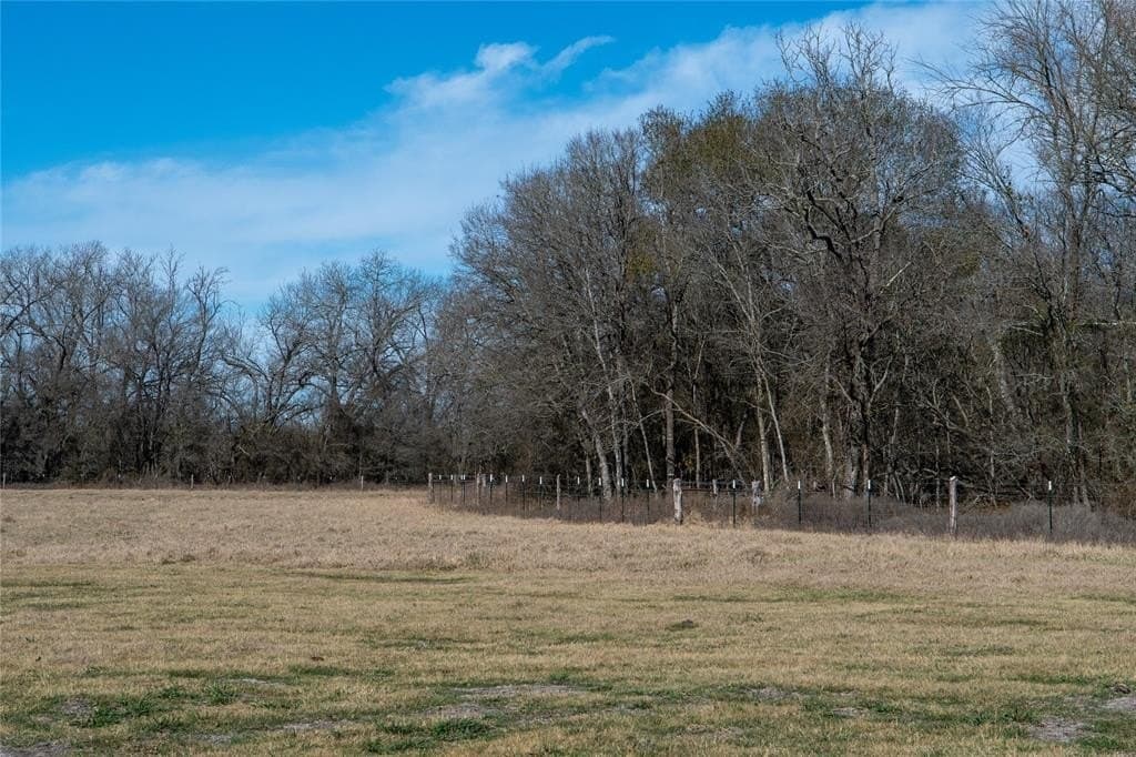 230 acres in Limestone County - photo 17