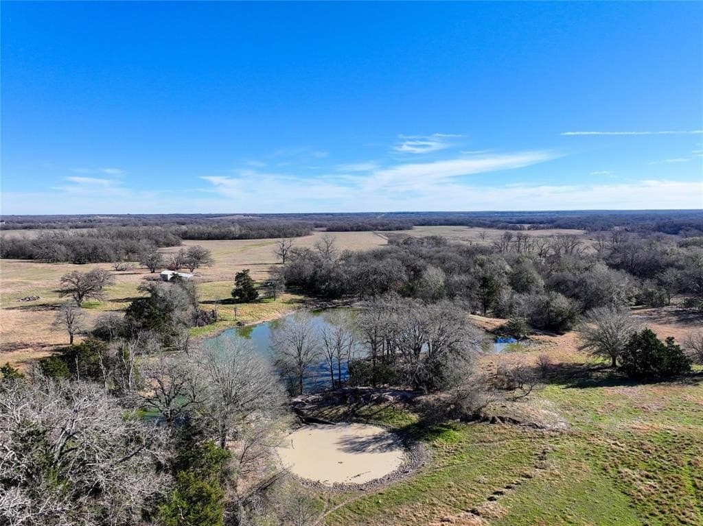 230 acres in Limestone County - photo 10