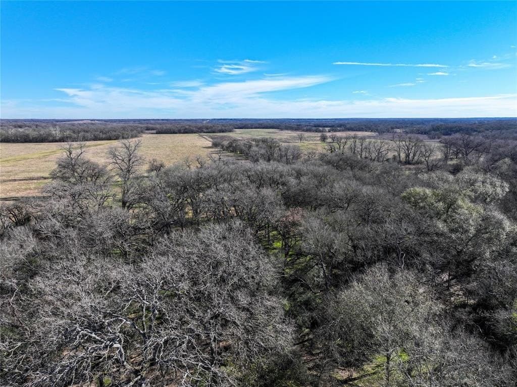 230 acres in Limestone County - photo 25