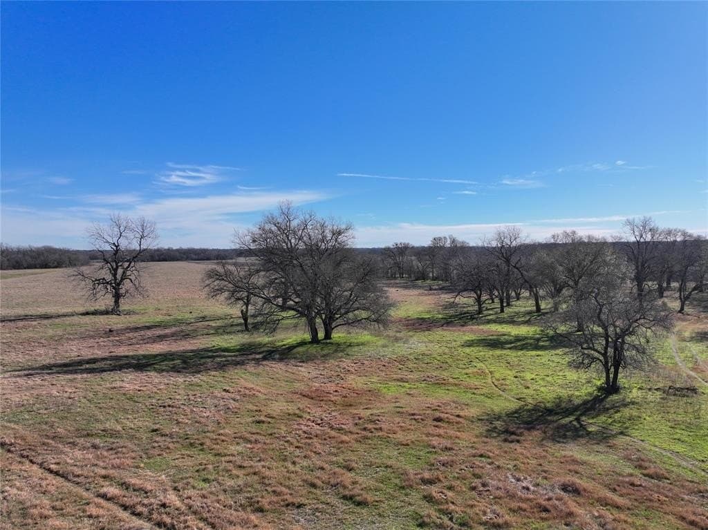 230 acres in Limestone County - photo 34