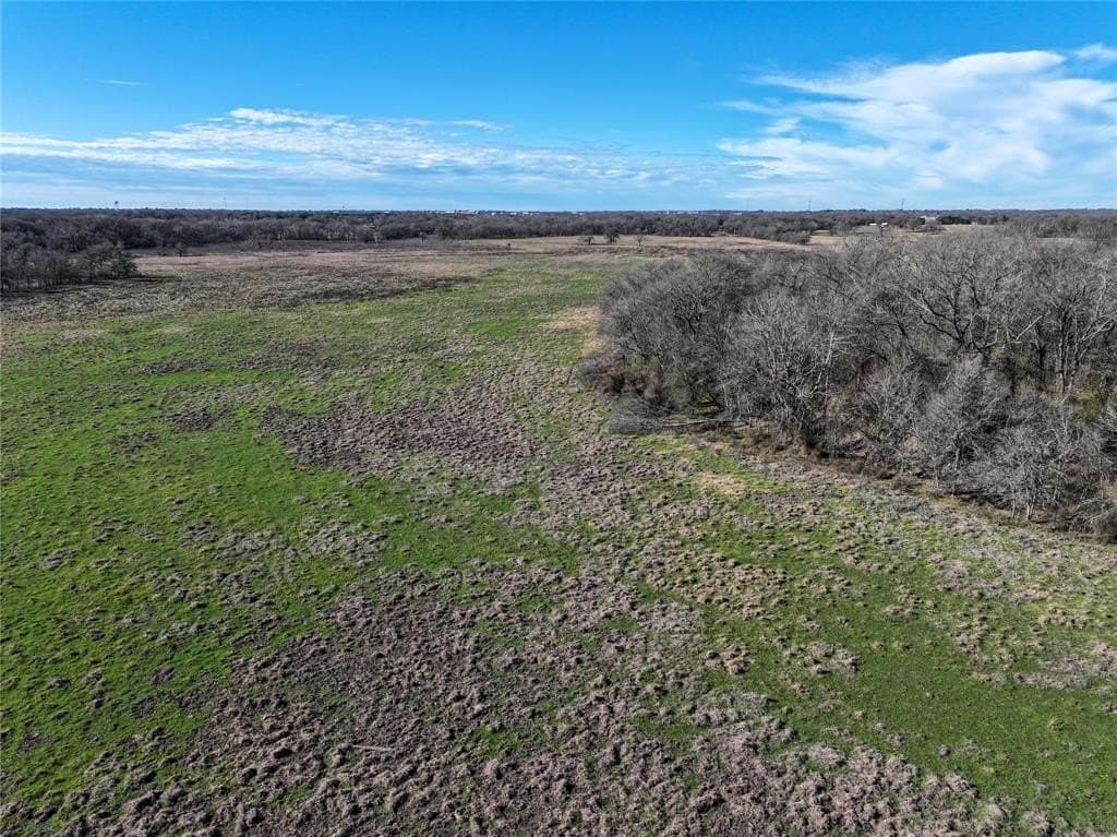 230 acres in Limestone County - photo 35