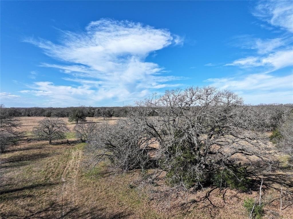 230 acres in Limestone County - photo 27