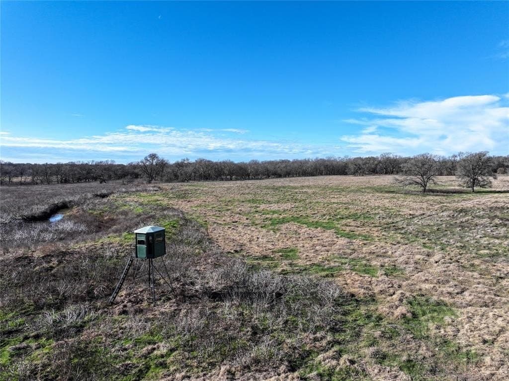 230 acres in Limestone County - photo 30