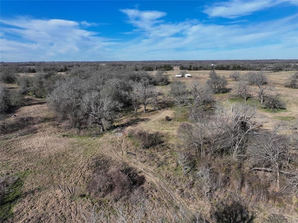 230 acres in Limestone County - photo 3