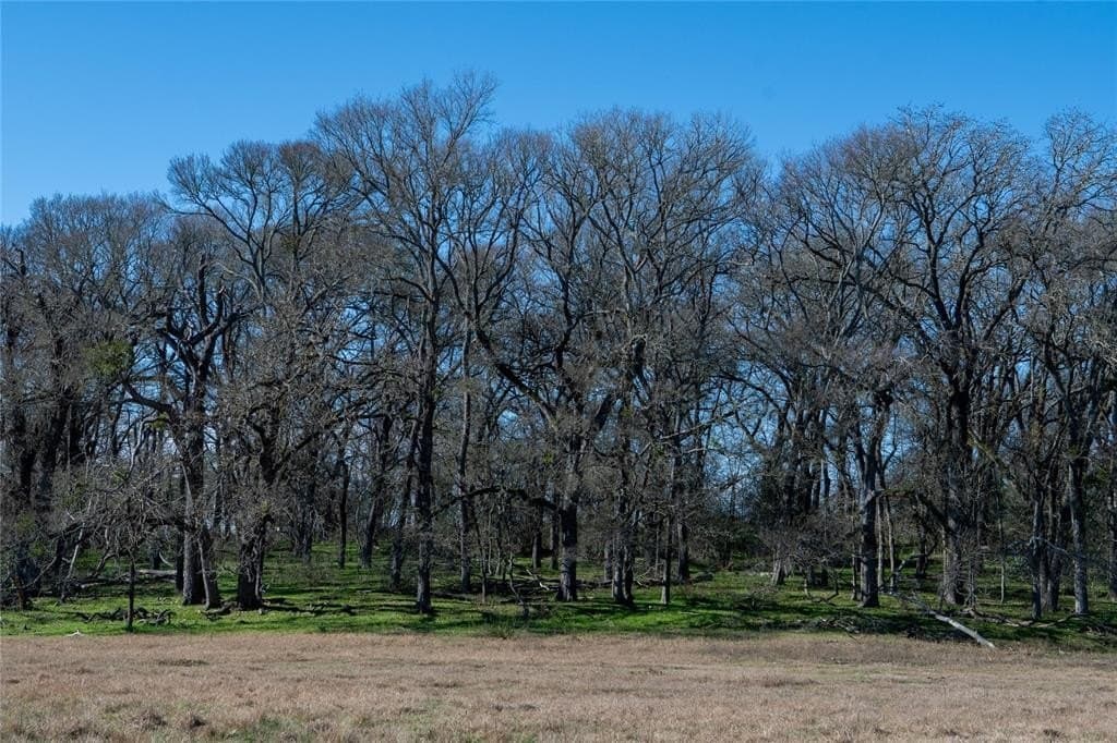 230 acres in Limestone County - photo 36