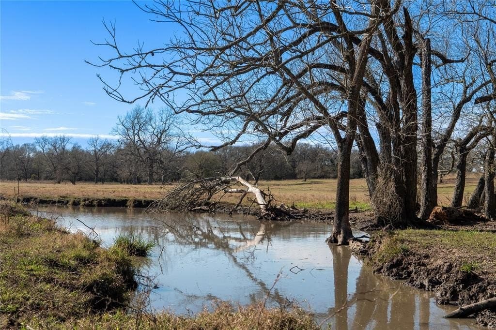 230 acres in Limestone County - photo 4