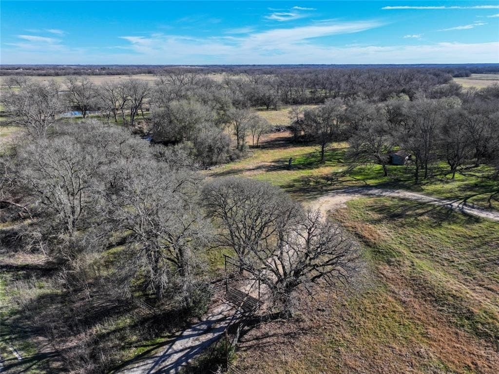 230 acres in Limestone County - photo 13
