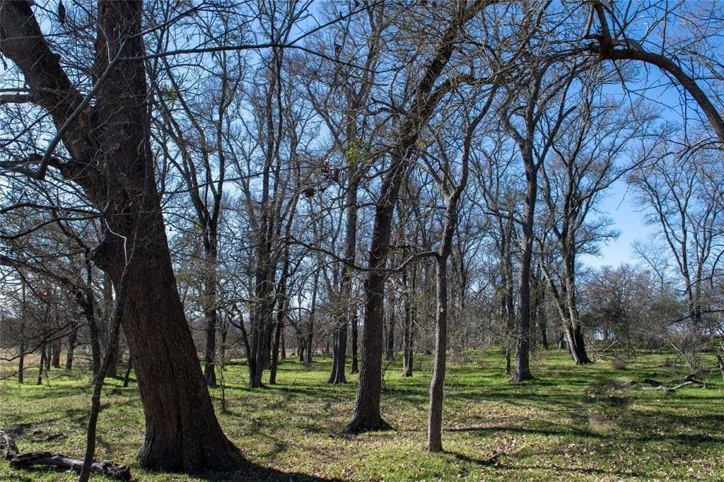 230 acres in Limestone County - photo 18