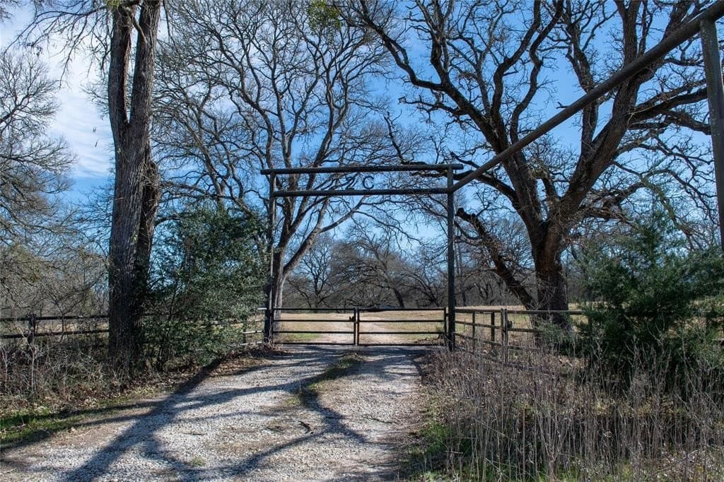 230 acres in Limestone County - photo 16