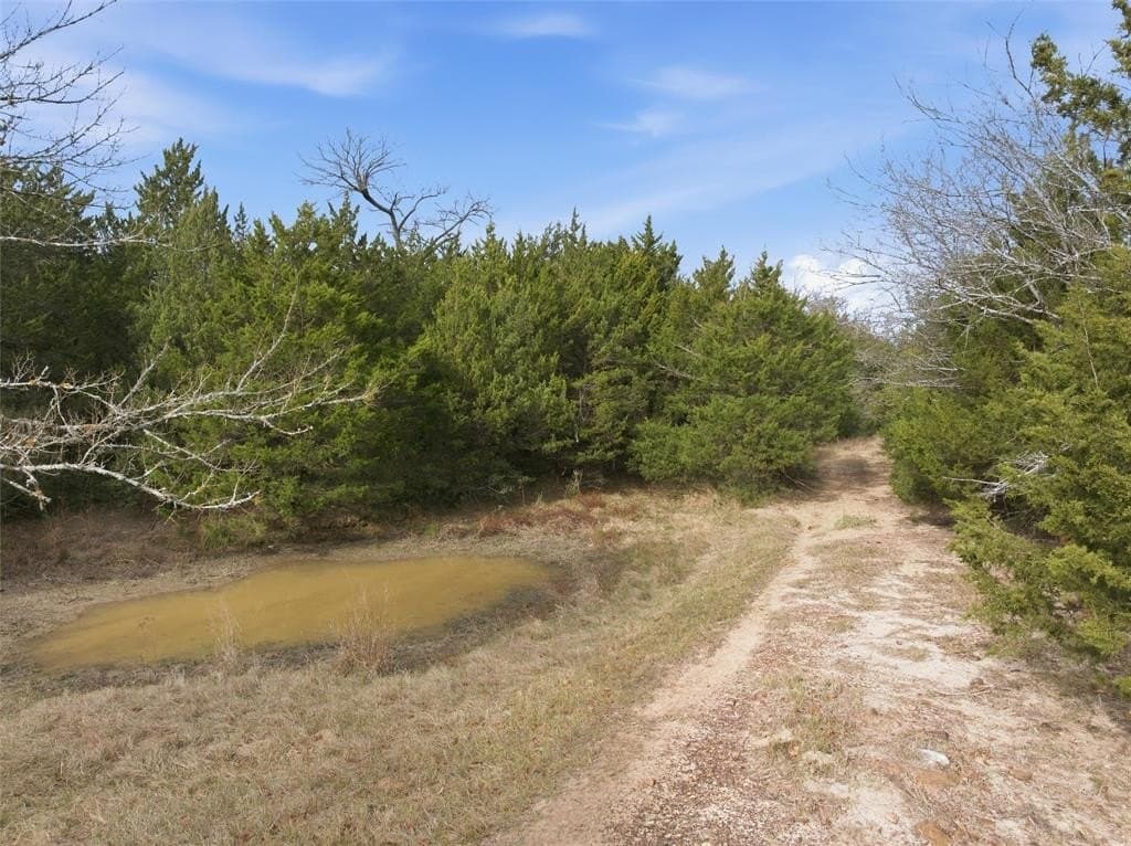 30.19 acres in Limestone County - photo 15