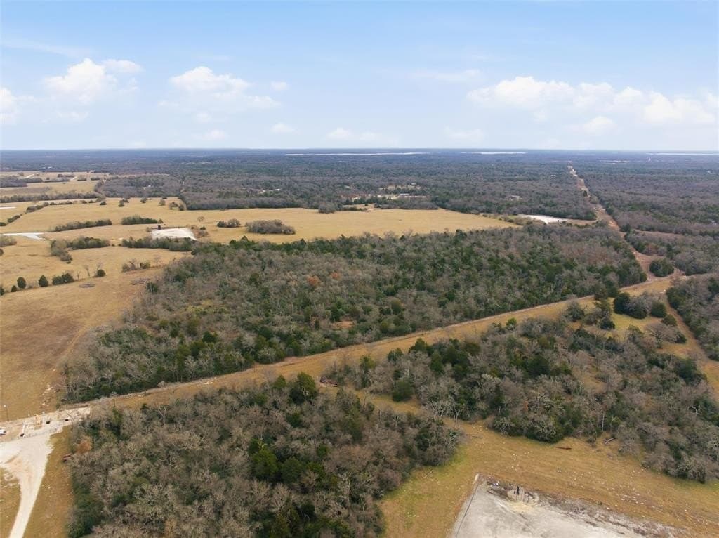 30.19 acres in Limestone County - photo 7